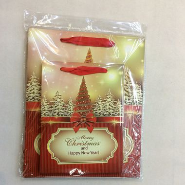 Gift bag 18x24x8cm