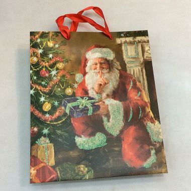 Gift bag 24x14x8 cm