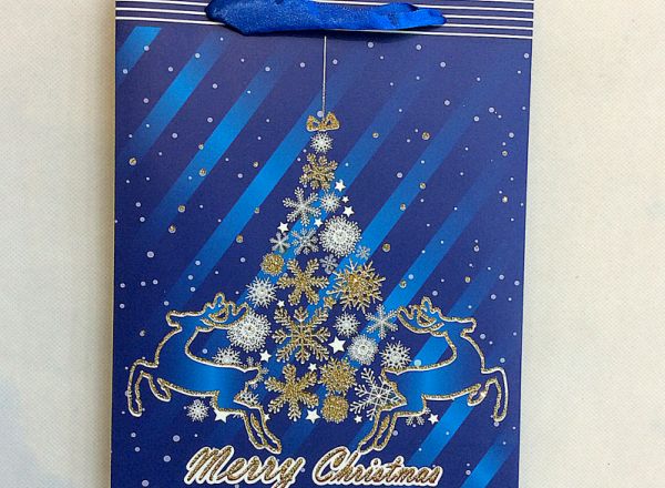 Gift bag 30x41.5x12cm