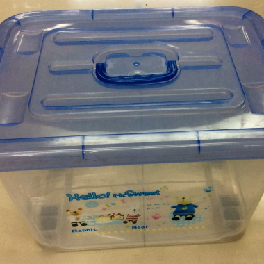Storage box with wheels