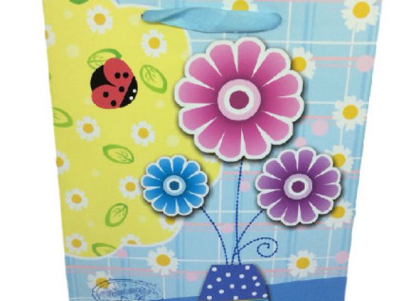 Gift bag 26x32x10cm