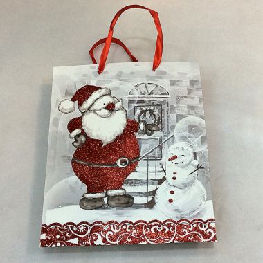 Gift bag 31x42x12 cm