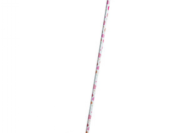 Sweeping brush set