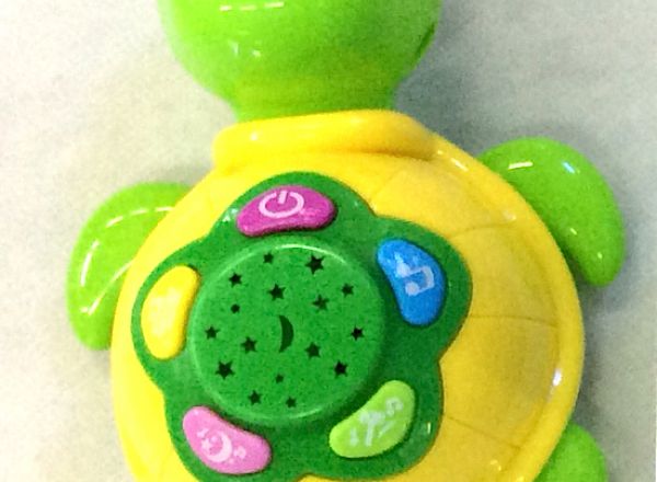 Baby funny turtle