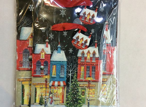 Gift bag 18x24x8cm