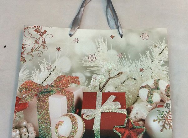 Gift bag 24x18x10cm