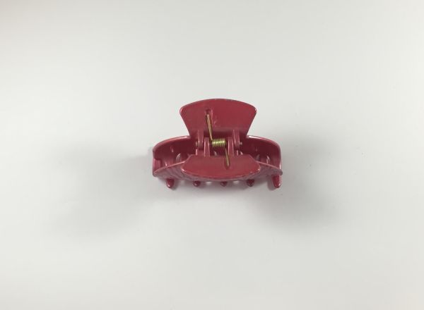 Hair clip 6138 C518B283
