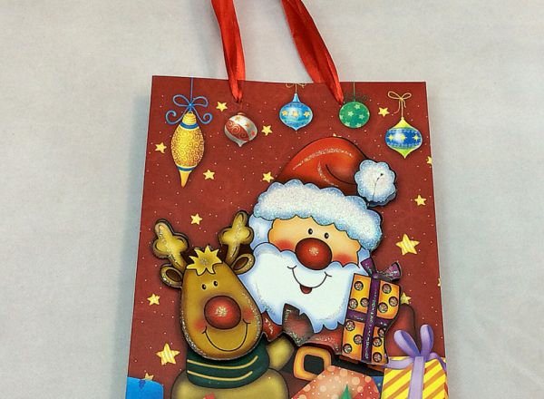 Gift bag 24x14x8 cm