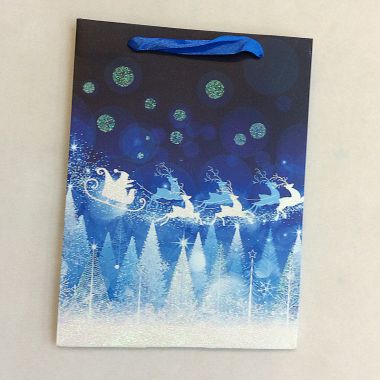 Gift bag 30x41.5x12cm