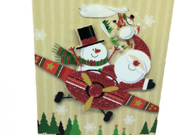 Gift bag 17.5x24x8cm