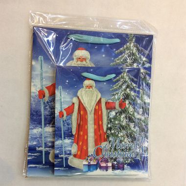 Gift bag 18x24x8cm