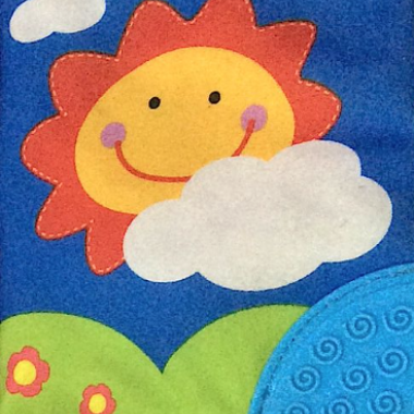 Baby Plush book
