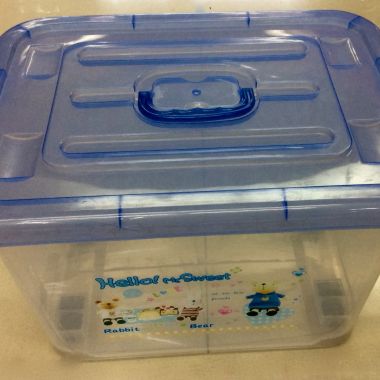 Storage box with wheels