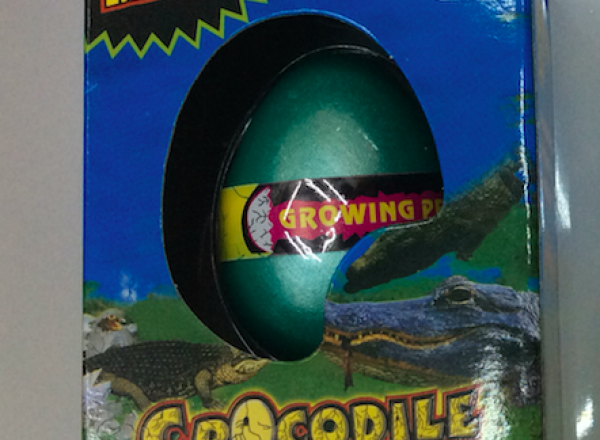 Growing egg