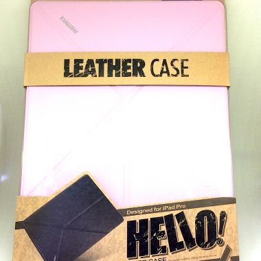 iPad leather case