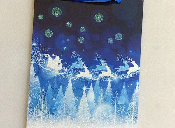 Gift bag 26x32x10cm