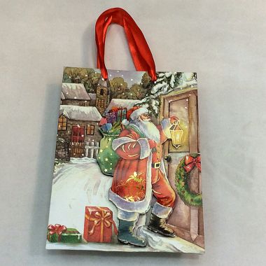 Gift bag 24x14x8 cm