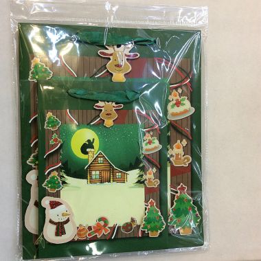 Gift bag 18x24x8cm