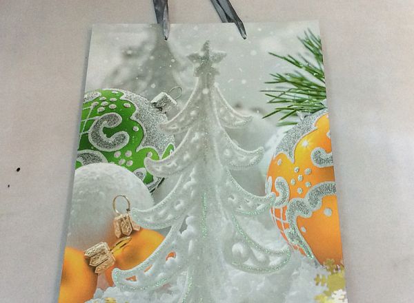 Gift bag 26x32x10 cm
