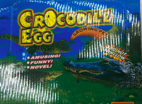 Growing egg