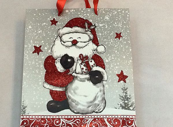 Gift bag 24x14x8 cm