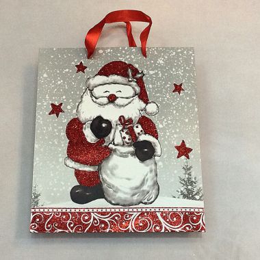 Gift bag 26x32x10 cm