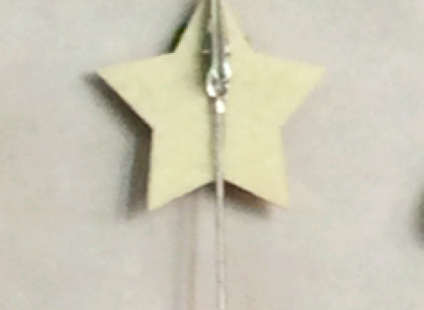 Christmas decoration