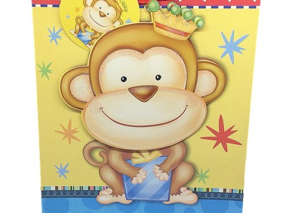 Gift bag 18x23x10cm