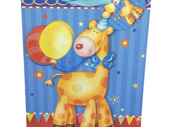 Gift bag 18x23x10cm