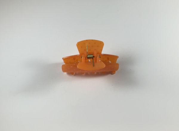 Hair clip 6137 A540B095-1