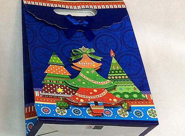 Gift bag 19x27x9 cm