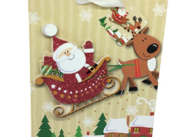 Gift bag 17.5x24x8cm