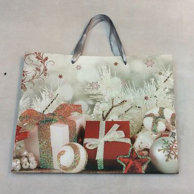 Gift bag 24x18x10cm