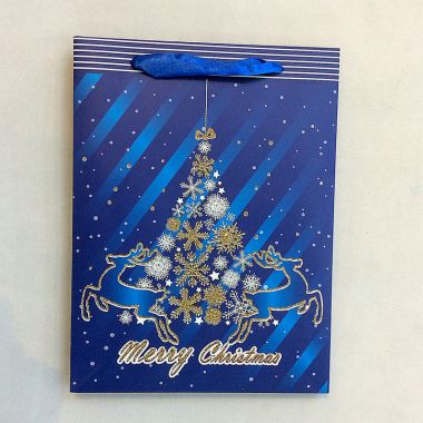 Gift bag 30x41.5x12cm