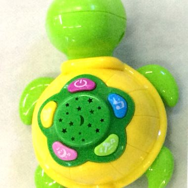 Baby funny turtle