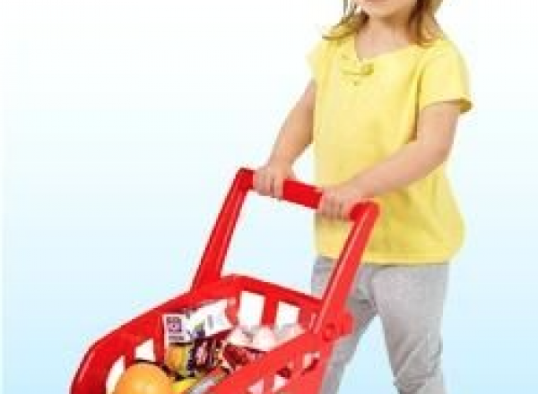 Home shopping cart play set