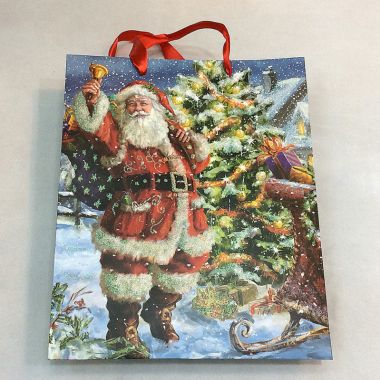 Gift bag 26x32x10 cm