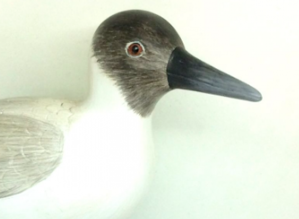 Bird ornament