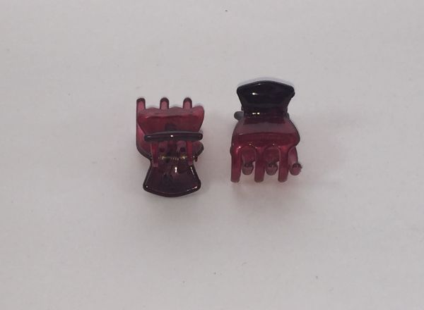 Double Hair Clips 6131 A031
