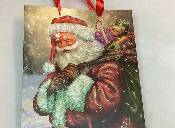 Gift bag 26x32x10 cm