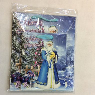 Gift bag 26x32x10cm