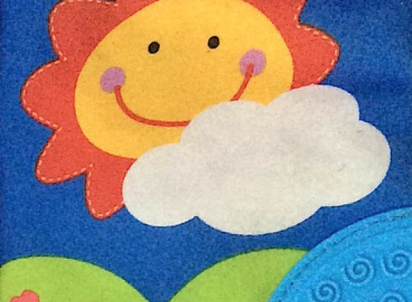 Baby Plush book