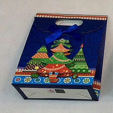 Gift bag 12x16x6 cm