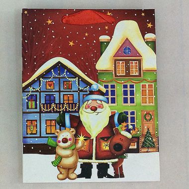 Gift bag 18x23x10cm