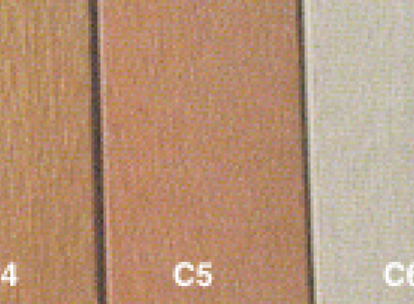 WPC wall panel