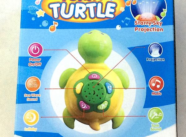 Baby funny turtle