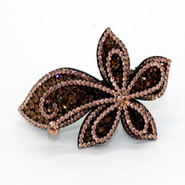Hair Clip