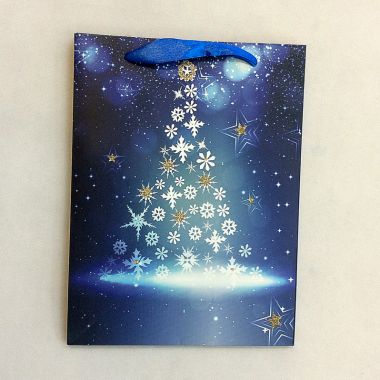 Gift bag 30x41.5x12cm