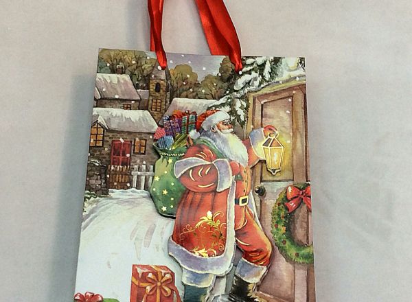 Gift bag 24x14x8 cm