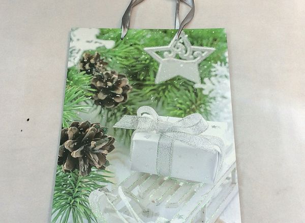Gift bag 24x14x8 cm